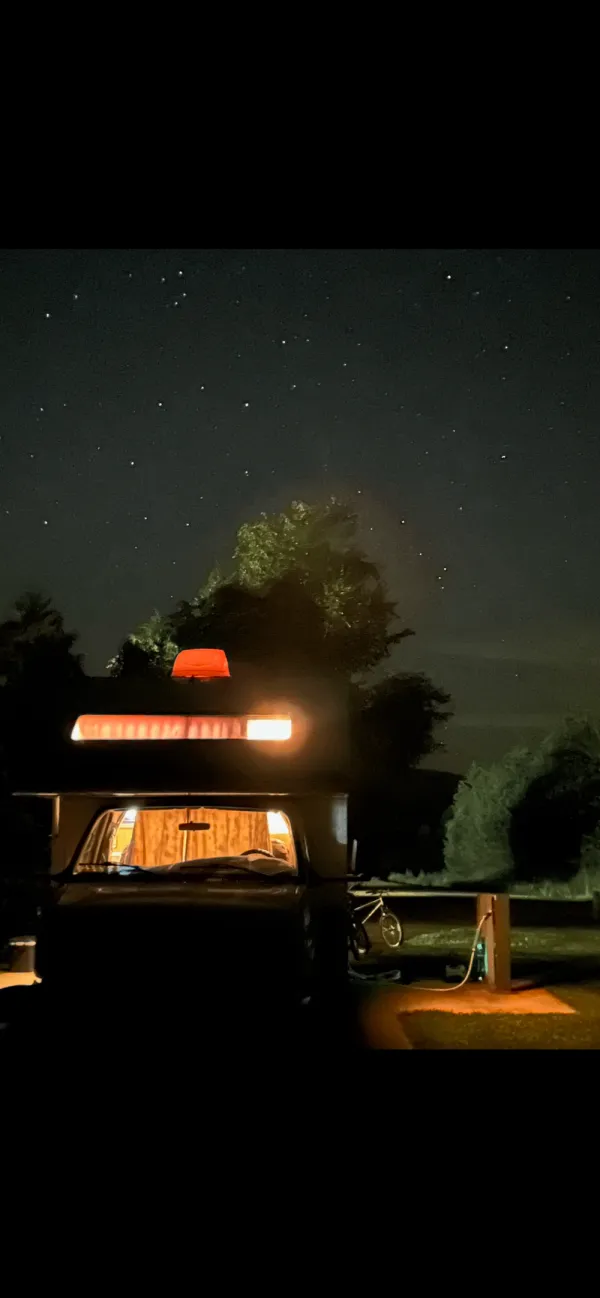 Set Your Monkey Free (2)